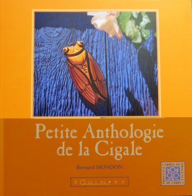 Les cigales : vies et symbole