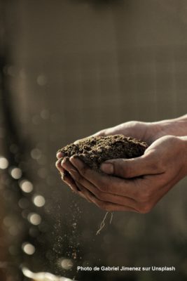 Renouer du lien entre agriculture et société