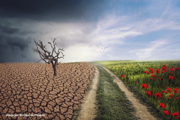 Les mécanismes du changement climatique