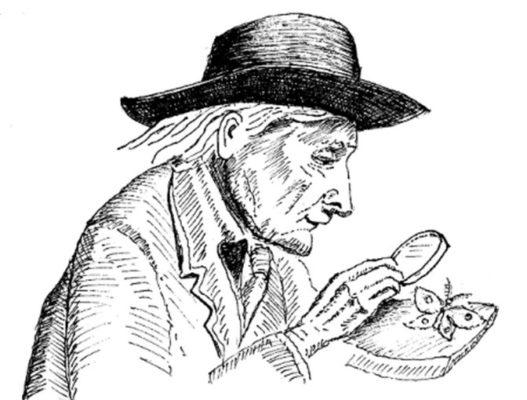 Jean-Henri FABRE, entomologiste, écrivain, aquarelliste
