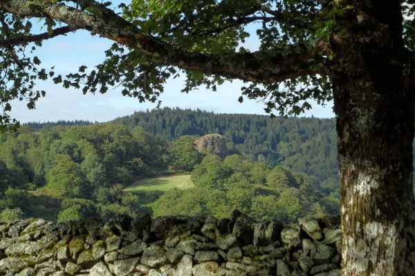 Évolution de la forêt d’Aubrac au cours des âges