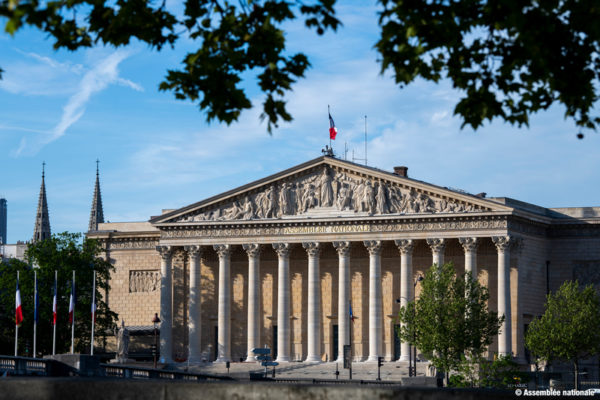 Au cœur de l&rsquo;Assemblée nationale : nature et fonctions de l&rsquo;institution