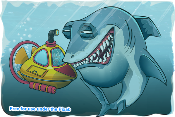 Plonger avec les requins